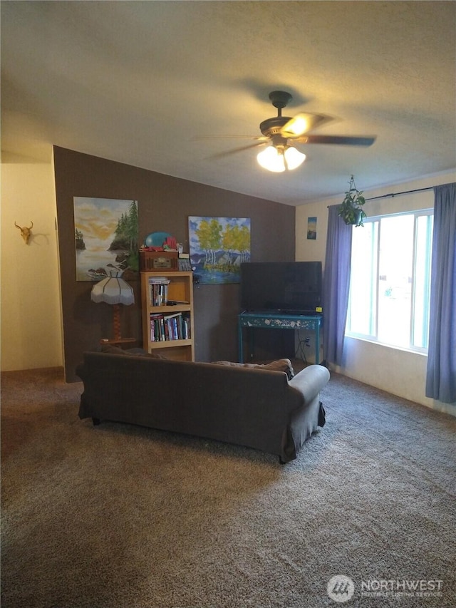 103 Larsen Blvd, Metaline Falls, WA 99153 - photo 3