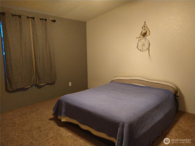 103 Larsen Blvd, Metaline Falls, WA 99153 - photo 9