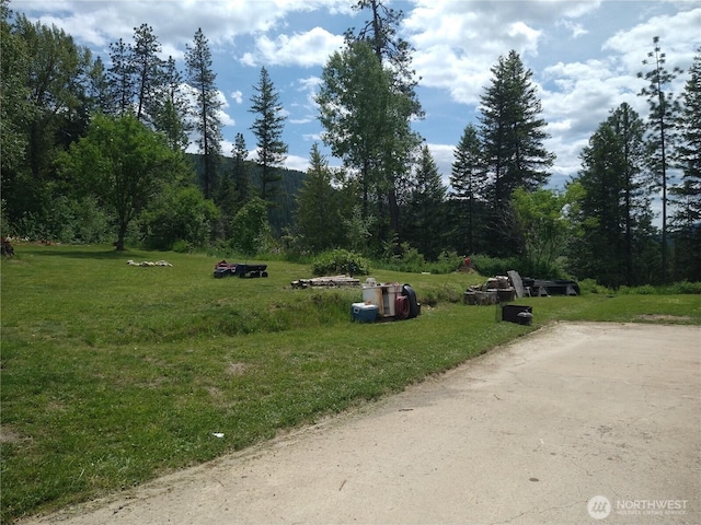 103 Larsen Blvd, Metaline Falls, WA 99153 - photo 29