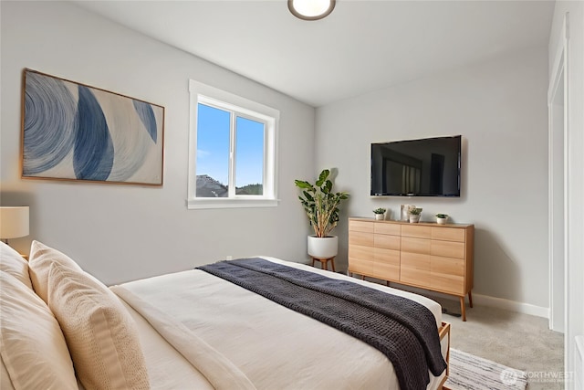 253 Kakela Rd, Winlock, WA 98596 - bedroom featuring light carpet and baseboards