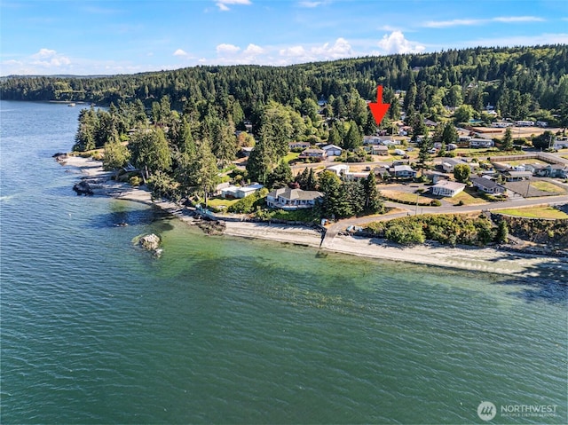 51 E Alder St, Port Ludlow, WA 98365 - photo 37