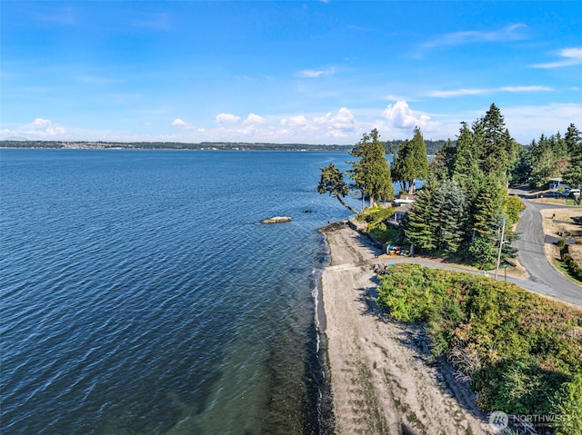 51 E Alder St, Port Ludlow, WA 98365 - photo 38