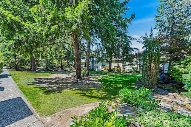 1717 150th Ave SE Unit 18, Bellevue, WA 98007 - view of home's community featuring a yard