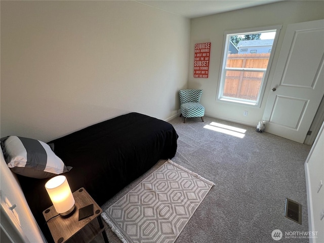 303 N Wynoochee Dr SW, Ocean Shores, WA 98569 - view of carpeted bedroom