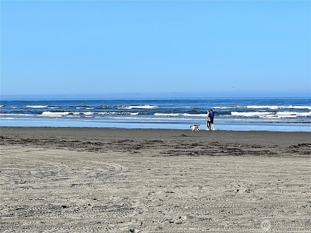 303 N Wynoochee Dr SW, Ocean Shores, WA 98569 - water view