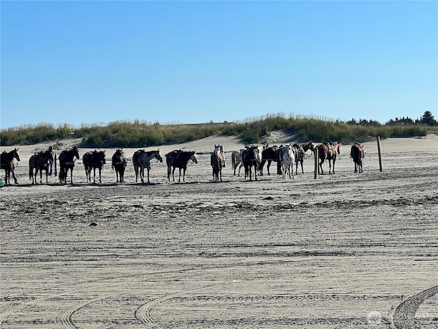 303 N Wynoochee Dr SW, Ocean Shores, WA 98569 - view of home's community featuring a rural view