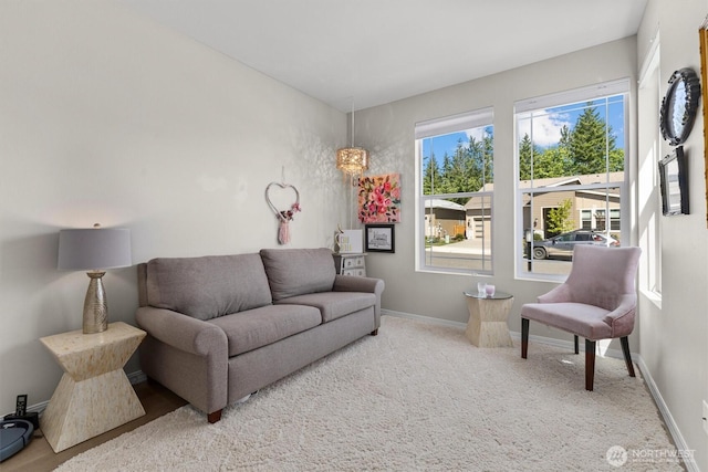 15116 183rd Ave E, Bonney Lake, WA 98391 - photo 10