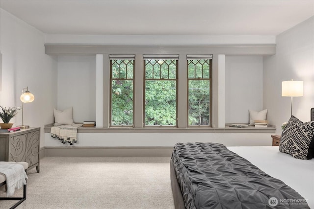 743 Broadway E, Seattle, WA 98102 - view of carpeted bedroom