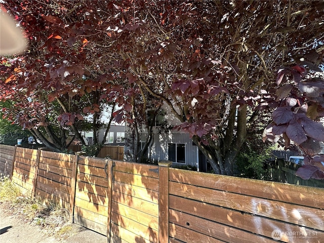 10511 Midvale Ave N Unit 202, Seattle, WA 98133 - view of yard