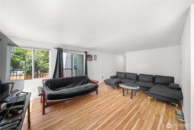 11556 Greenwood Ave N Unit 105, Seattle, WA 98133 - living room featuring light wood finished floors