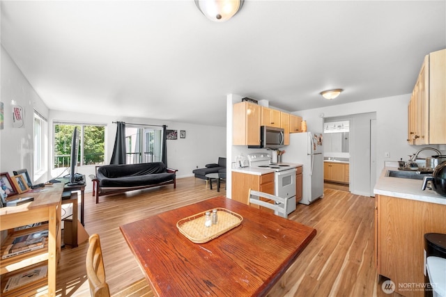 11556 Greenwood Ave N Unit 105, Seattle, WA 98133 - dining space featuring light wood-type flooring