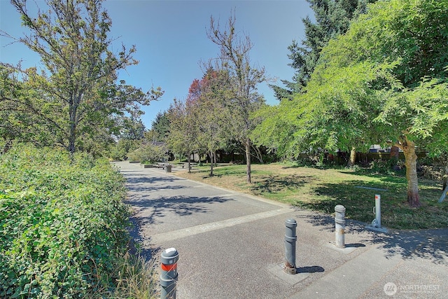 747 N 89th, Seattle, WA 98103 - photo 28