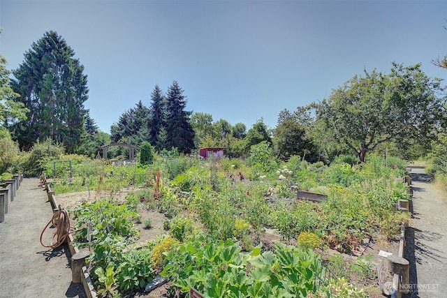 747 N 89th, Seattle, WA 98103 - photo 29