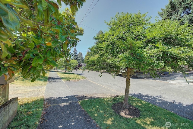 747 N 89th, Seattle, WA 98103 - photo 30