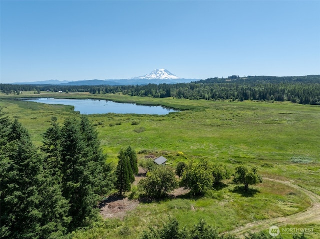 42911 22nd Ave E, Eatonville, WA 98328