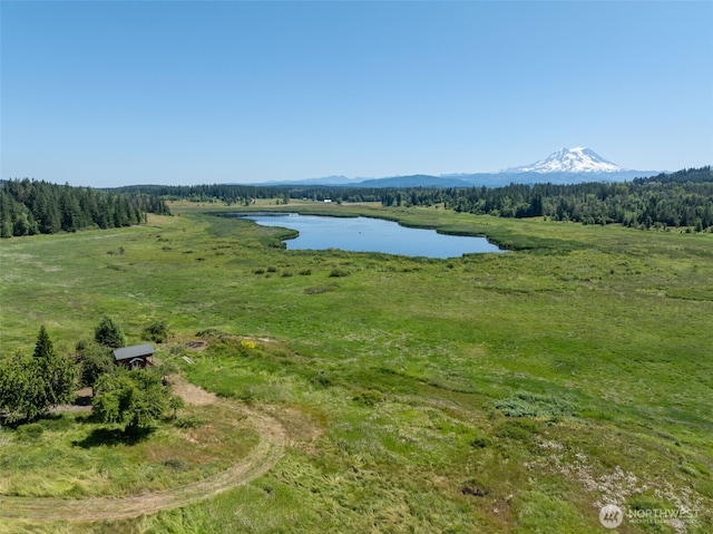 42911 22nd Ave E, Eatonville, WA 98328