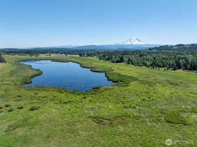 42911 22nd Ave E, Eatonville, WA 98328