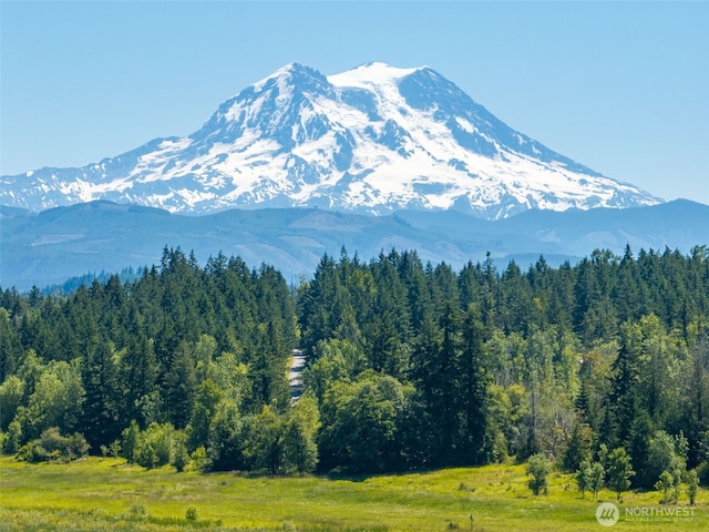 42911 22nd Ave E, Eatonville, WA 98328