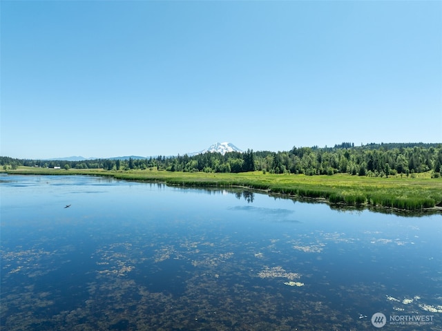 42911 22nd Ave E, Eatonville, WA 98328