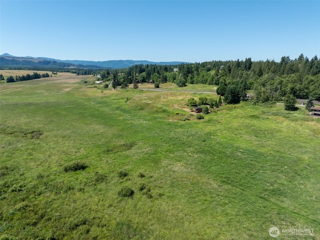 42911 22nd Ave E, Eatonville, WA 98328