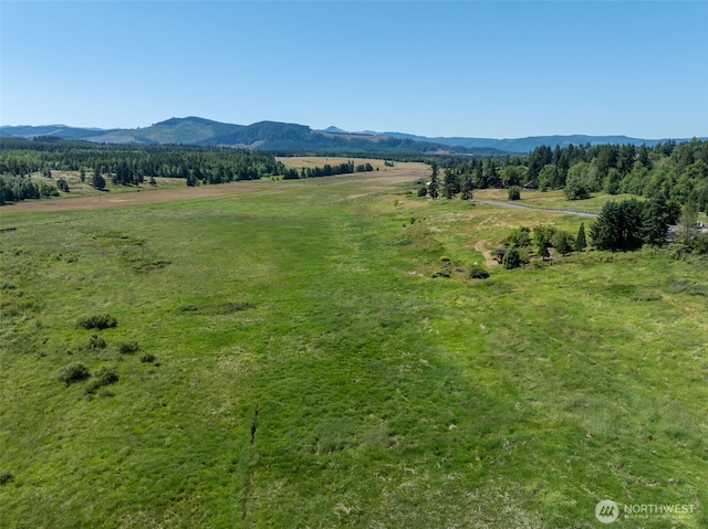 42911 22nd Ave E, Eatonville, WA 98328