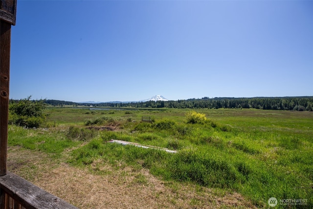 42911 22nd Ave E, Eatonville, WA 98328