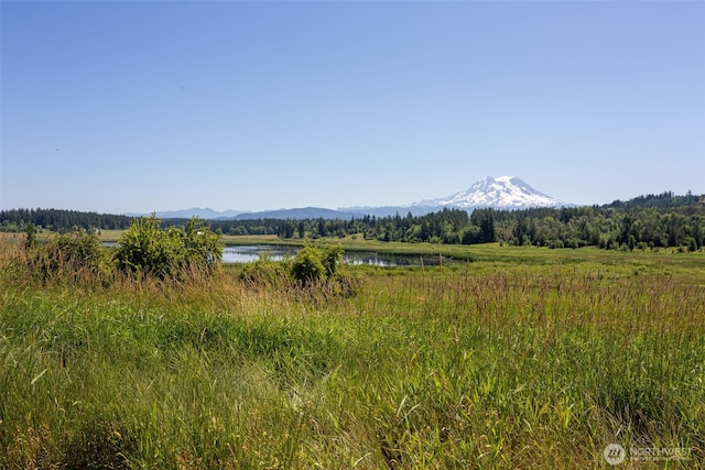 42911 22nd Ave E, Eatonville, WA 98328