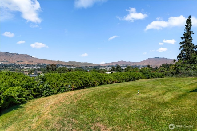 2434 NW Alan Ave, East Wenatchee, WA 98802 - photo 32