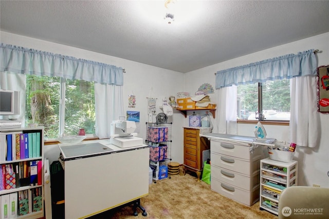 46699 Baker Loop Rd, Concrete, WA 98237 - photo 15