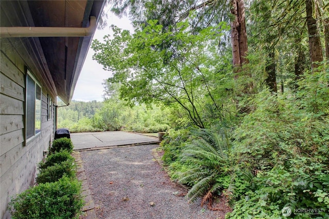 46699 Baker Loop Rd, Concrete, WA 98237 - photo 27