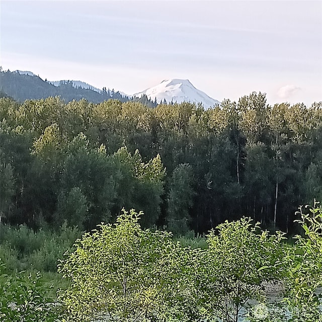 46699 Baker Loop Rd, Concrete, WA 98237 - photo 34