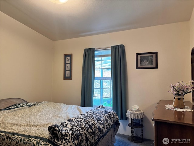 58 Blue Place Rd, Malo, WA 99150 - photo 20