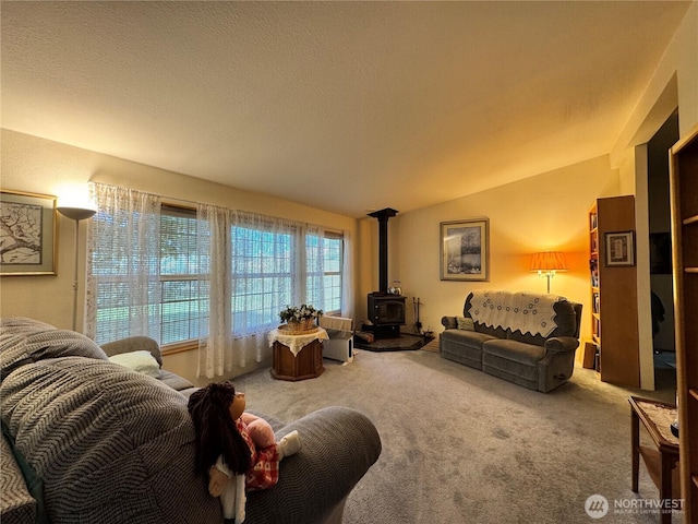 58 Blue Place Rd, Malo, WA 99150 - photo 10