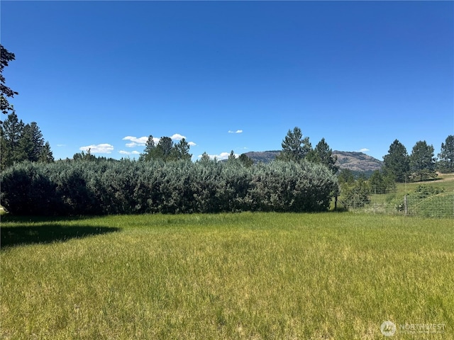 58 Blue Place Rd, Malo, WA 99150 - photo 31