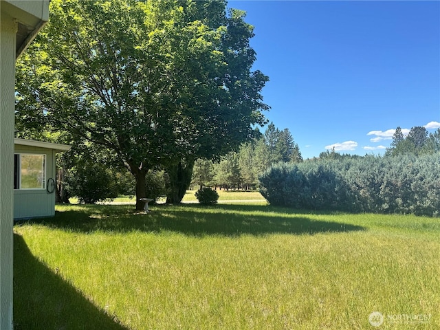 58 Blue Place Rd, Malo, WA 99150 - photo 32