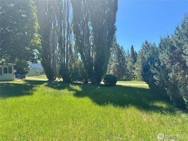 58 Blue Place Rd, Malo, WA 99150 - photo 35