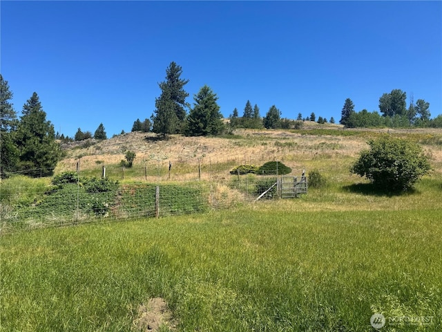 58 Blue Place Rd, Malo, WA 99150 - photo 36