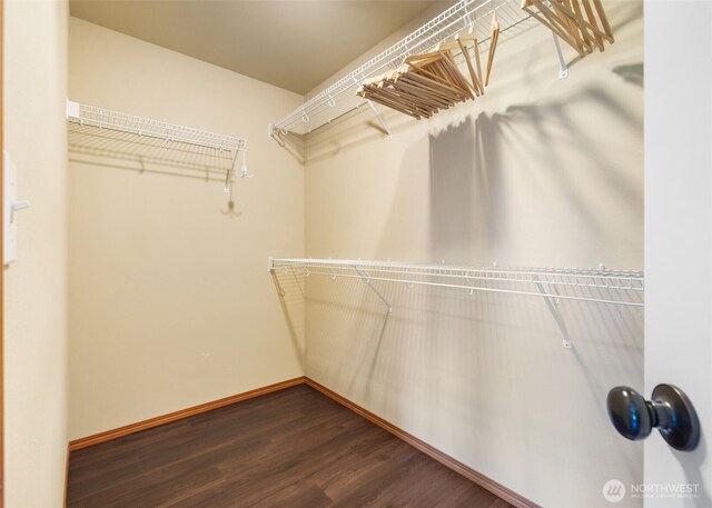 502 182nd St E, Spanaway, WA 98387 - spacious closet with dark wood-type flooring