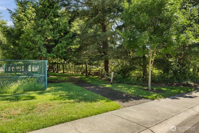 502 182nd St E, Spanaway, WA 98387 - view of yard