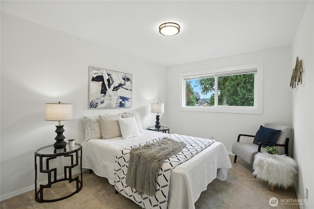 18844 SE 214th St, Renton, WA 98058 - bedroom with carpet and baseboards
