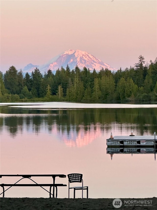 18844 SE 214th St, Renton, WA 98058 - water view featuring a forest and a mountainous background