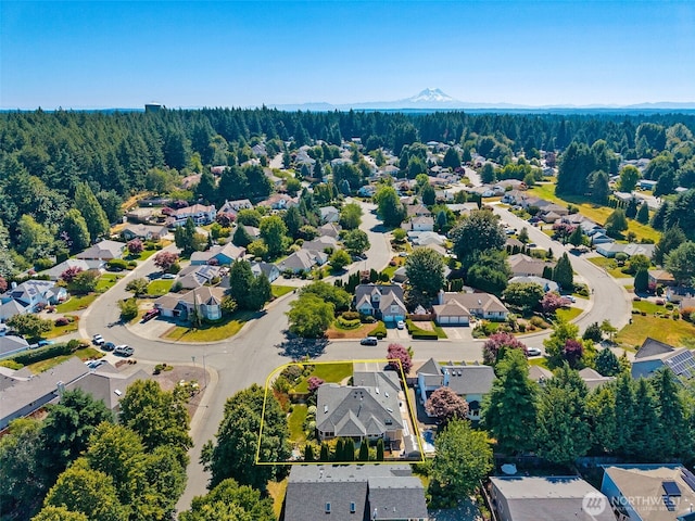4101 Banbridge Loop SE, Olympia, WA 98501 - aerial view of residential area featuring a heavily wooded area and property boundaries highlighted
