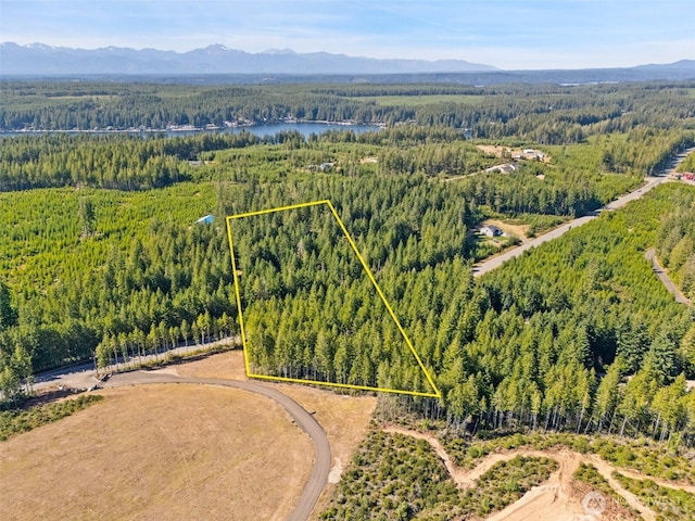 0TR4 E Mason Lake Rd, Grapeview, WA 98546