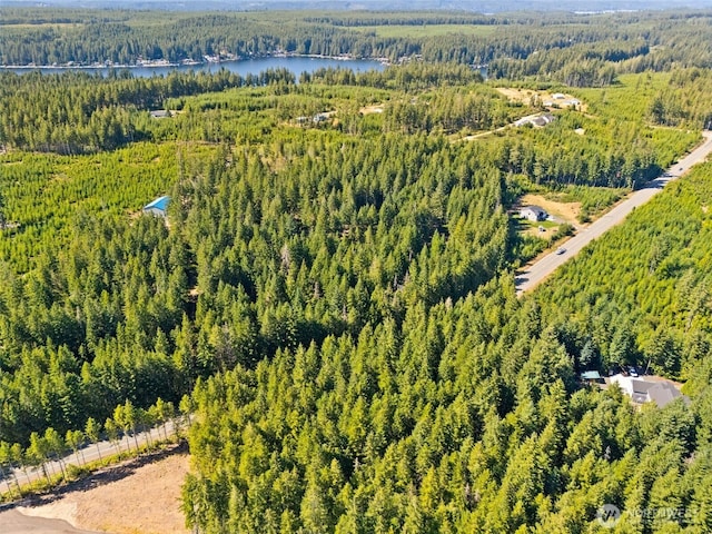 0TR4 E Mason Lake Rd, Grapeview, WA 98546