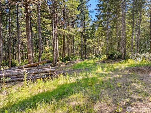 0TR4 E Mason Lake Rd, Grapeview, WA 98546