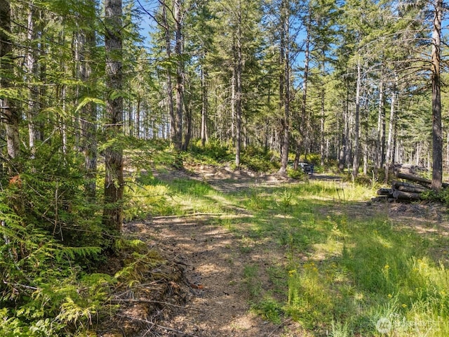 0TR4 E Mason Lake Rd, Grapeview, WA 98546