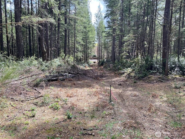 0TR4 E Mason Lake Rd, Grapeview, WA 98546