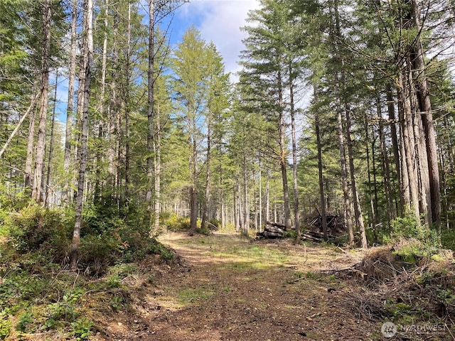 0TR4 E Mason Lake Rd, Grapeview, WA 98546