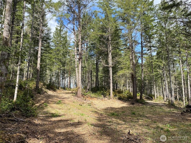 0TR4 E Mason Lake Rd, Grapeview, WA 98546