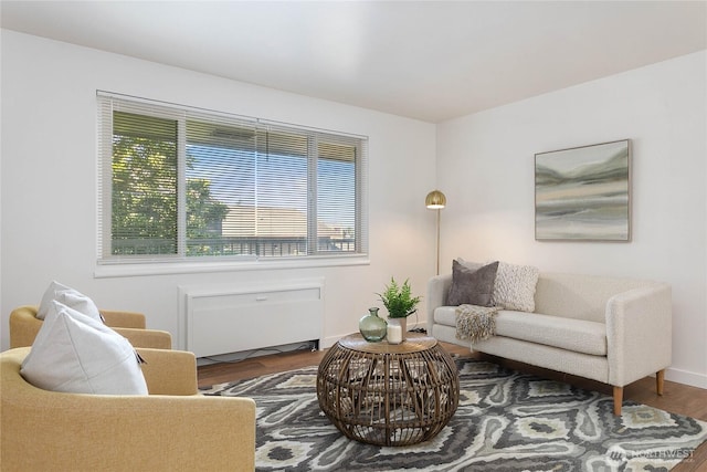 901 N Forest St Unit 146, Bellingham, WA 98225 - living room featuring wood finished floors and baseboards